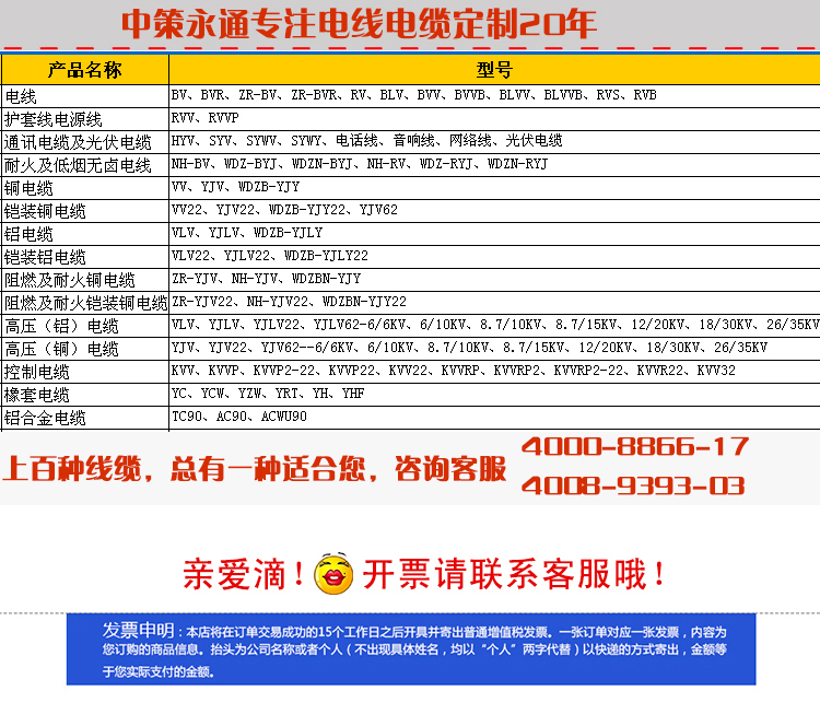 國標(biāo)10對大對數(shù)電纜 通信電纜 HYA 10*2*0.5全銅電話電纜