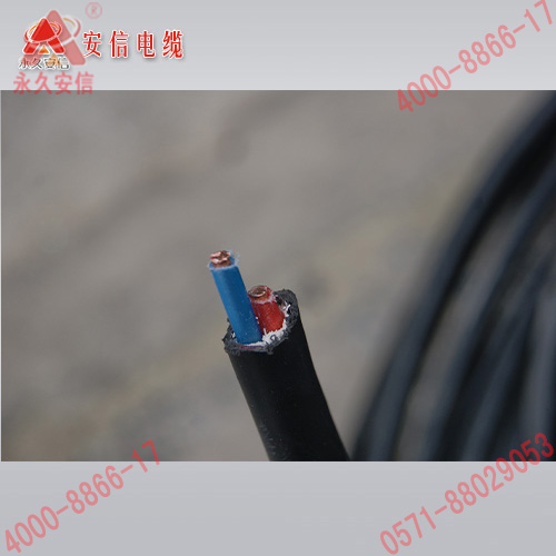 國標(biāo)YJV 2×6銅芯交聯(lián)聚氯乙烯絕緣電力電纜